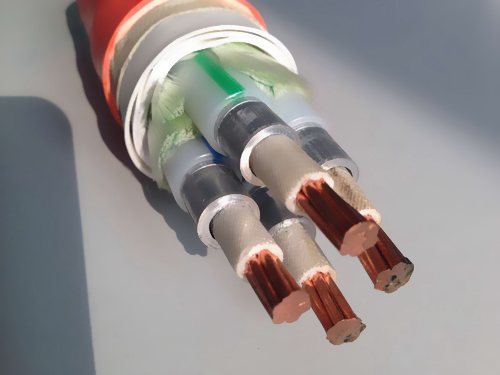 �͟��o�u������|