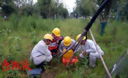 ���޹�늹�˾늾���|����