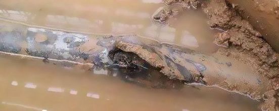 �����|�M(j��n)ˮ��