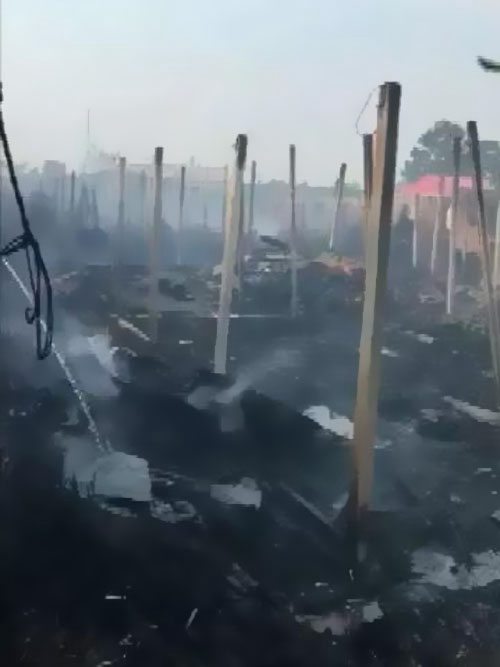 ������Ȼ�@����������ԭ����������